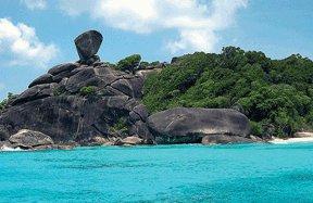 Low-cost loans for eco-friendly ventures